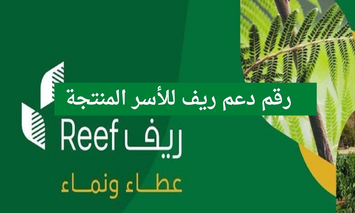 رقم دعم ريف للأسر المنتجة معرفة شروط التسجيل في برنامج الدعم الريف reef.gov.sa