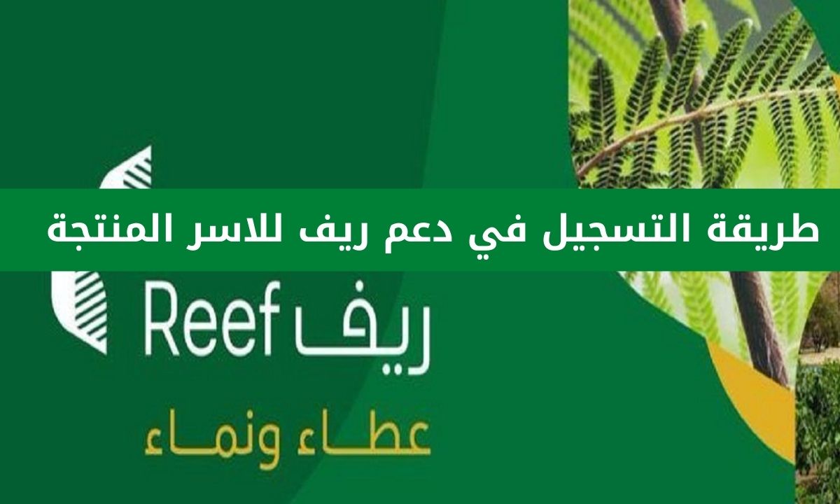 التسجيل في دعم ريف للاسر المنتجة عبر منصة reef.gov.sa شروط الدعم الريفي