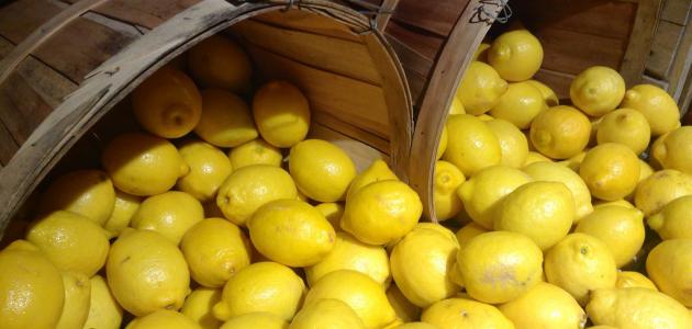 بأسرار التجار.. طريقة تخزين الليمون طازجا من السنة للسنة بدون تغيير في اللون أو الطعم كأنك لسه شرياه