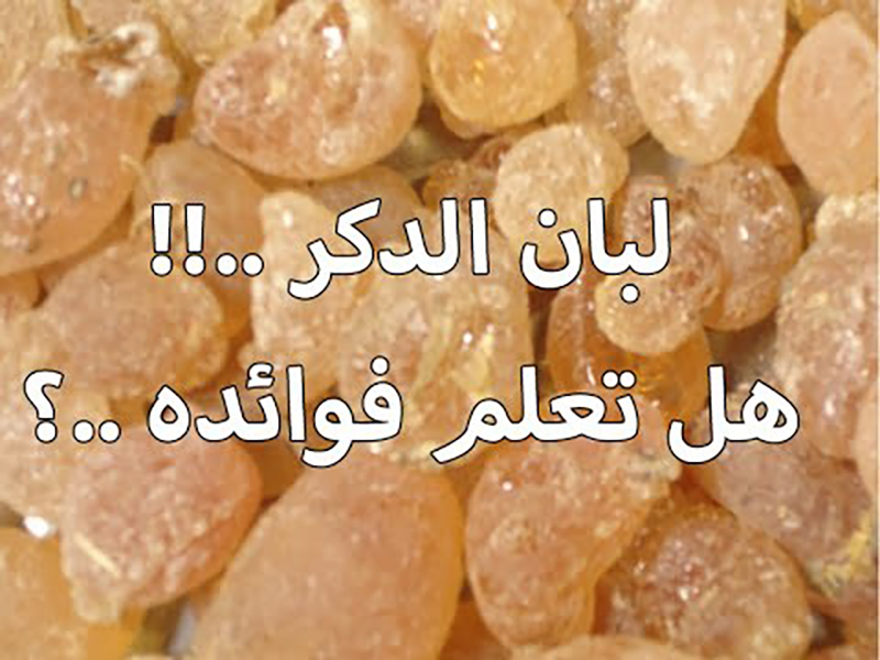 فوائد لبان الذكر