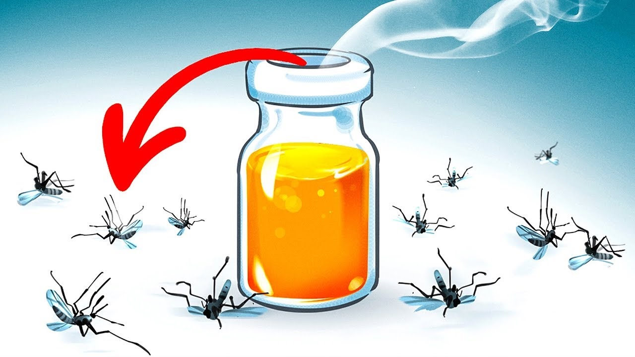 فكرة سحريه لطرد الناموس والحشرات من منزلك نهائياً.. إليك هذه الطريقة السهله البسيطة
