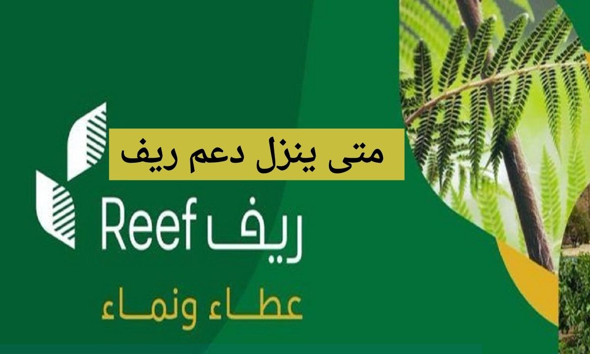 متى ينزل دعم ريف لشهر يناير 2022 reef موعد نزول الدعم الريفي