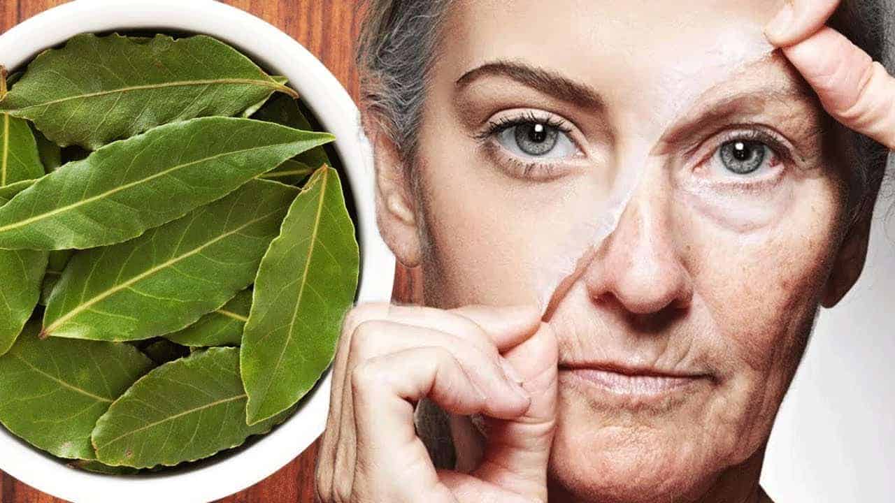 كريم أوراق الغار