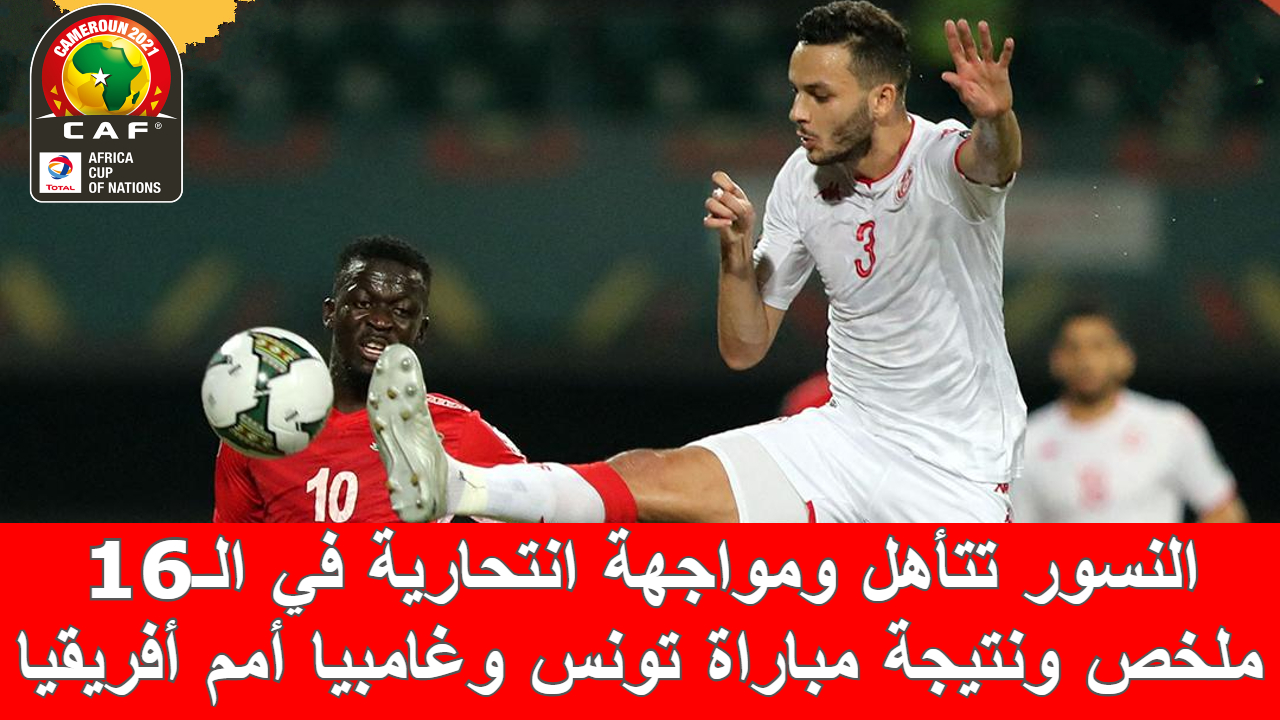 مباراة تونس وغامبيا