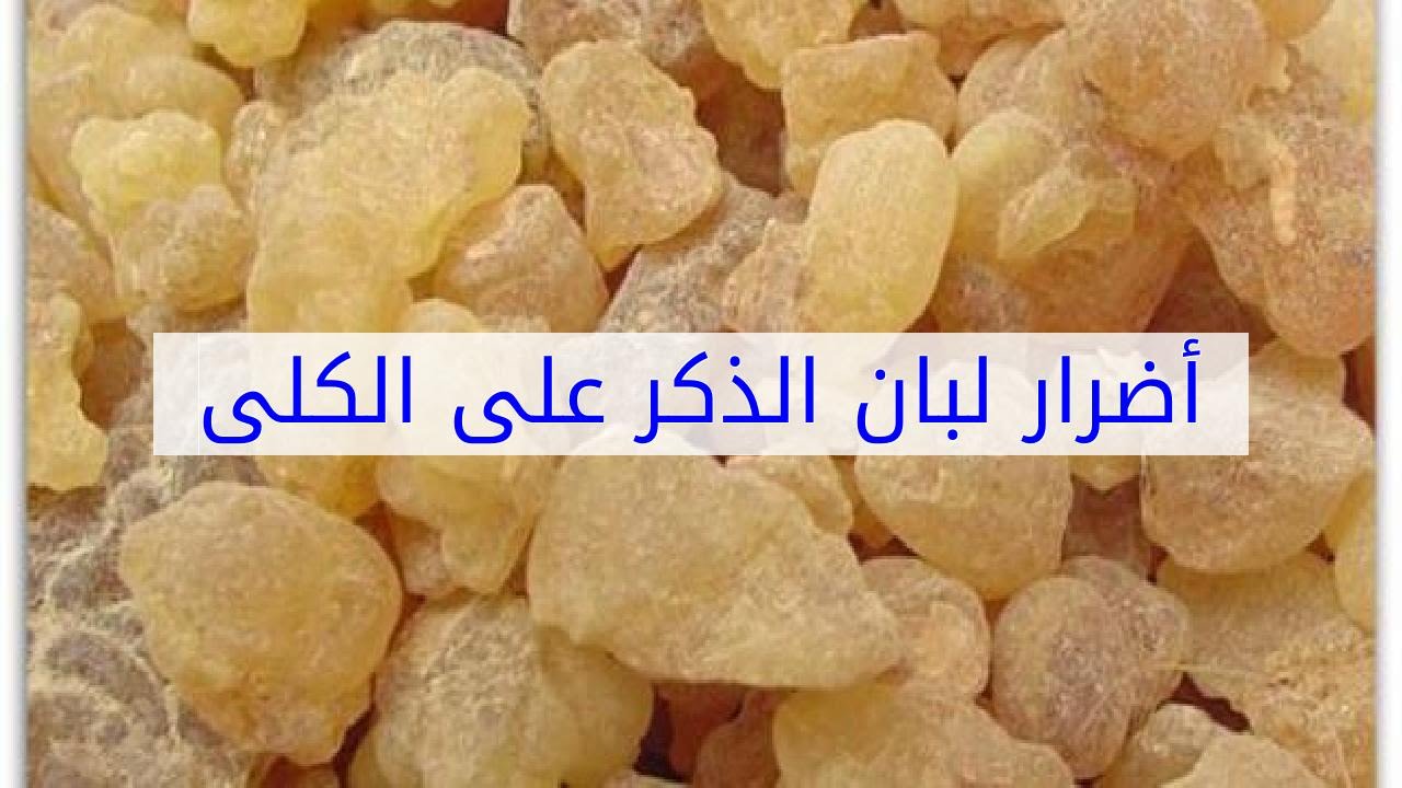 كارثة صحية بسبب لبان الذكر لن يعطها أحد إهتمام كيف يصبح لبان الذكر سبب لقتلك رغم فوائدة المذهلة