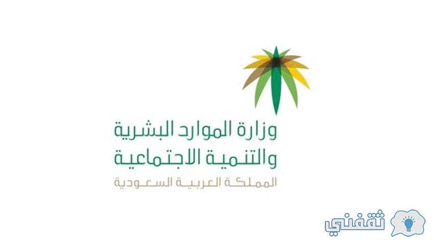 رابط تحديث المساعدات المقطوعة eservices.mlsd.gov.sa نفاذ المطور sso.hrsd.gov.sa