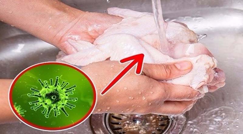 غسل الفراخ بالماء قبل الطهي كارثة تدمر صحتك اليكم الطريقة الصحيحة لغسلها