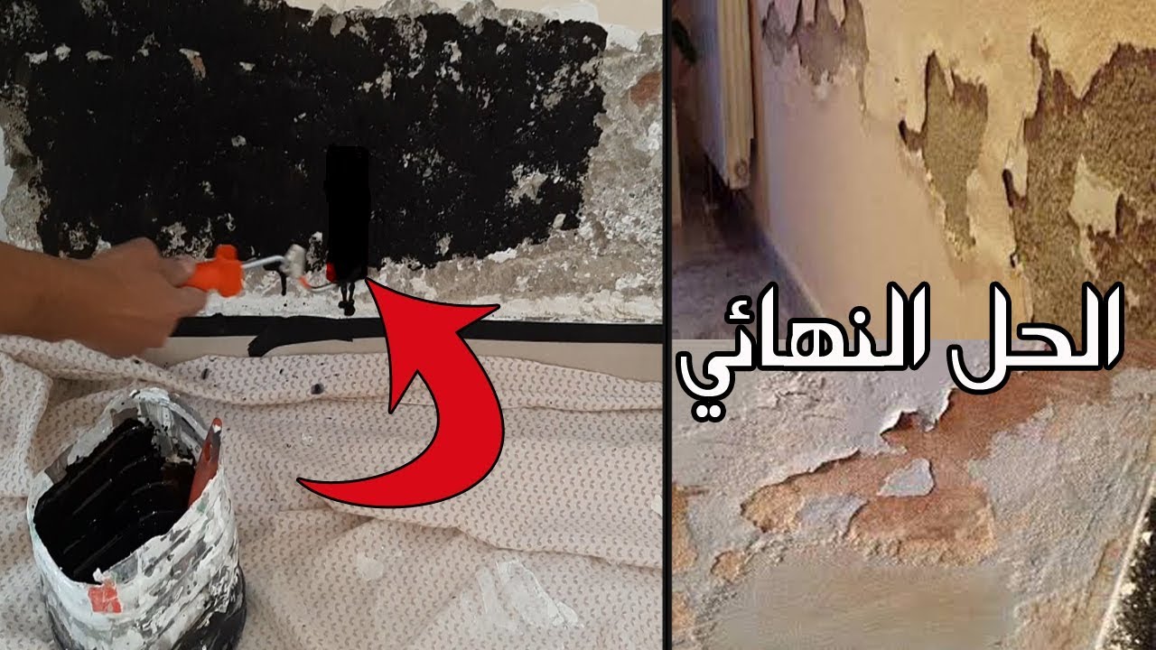 الحل الجبار.. للتخلص من الرطوبة والعفن في الحوائط بدون تكاليف فكرة هائلة ناجحة مليون بالمئة
