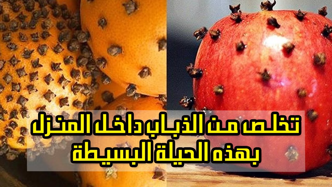 أسهل طريقة للتخلص من الذباب