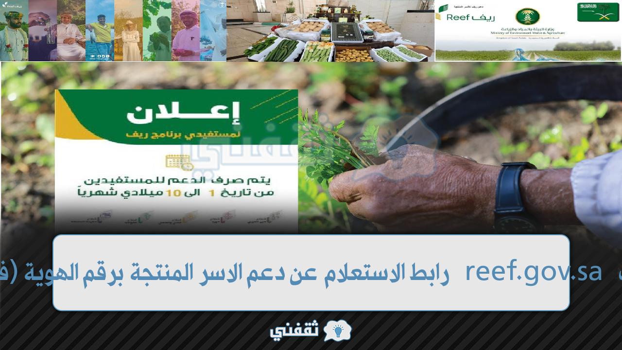موعد نزول دعم ريف reef.gov.sa رابط الاستعلام عن دعم الاسر المنتجة برقم الهوية موعد نزول دعم ريف reef.gov.sa رابط الاستعلام عن دعم الاسر المنتجة برقم الهوية