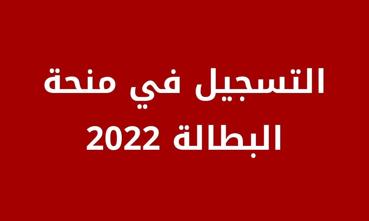 رابط التسجيل في منحة البطالة minha-anem-dz الوكالة الوطنية للتشغيل 2022