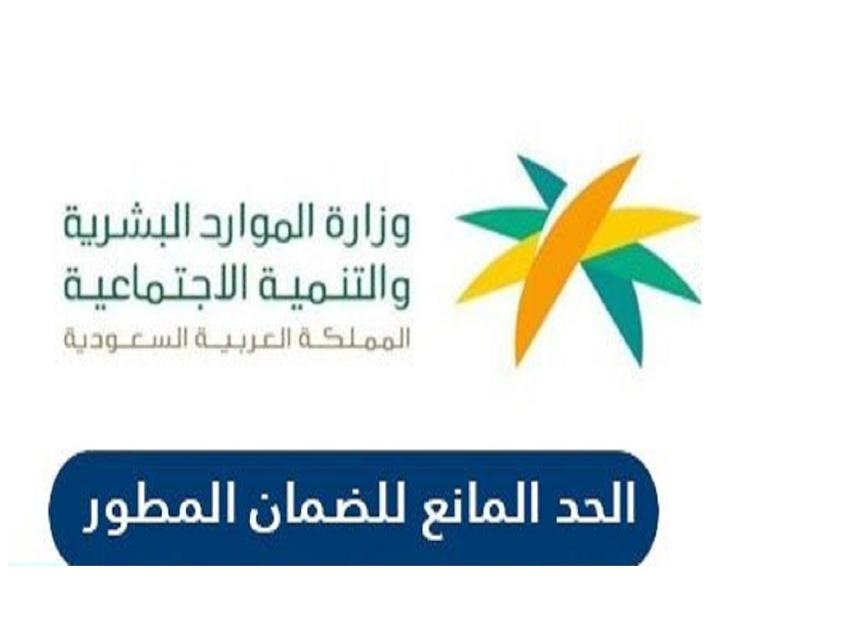 البشرية الضمان المطور الموارد الاجتماعي الدفعة الثالثة