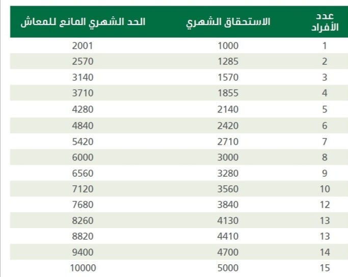 آلية احتساب المعاش في نظام الضمان الاجتماعي الجديد