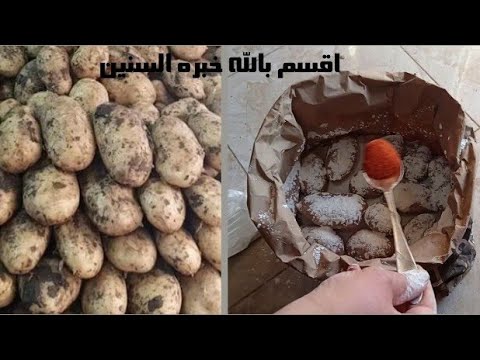 طريقة تخزين البطاطس