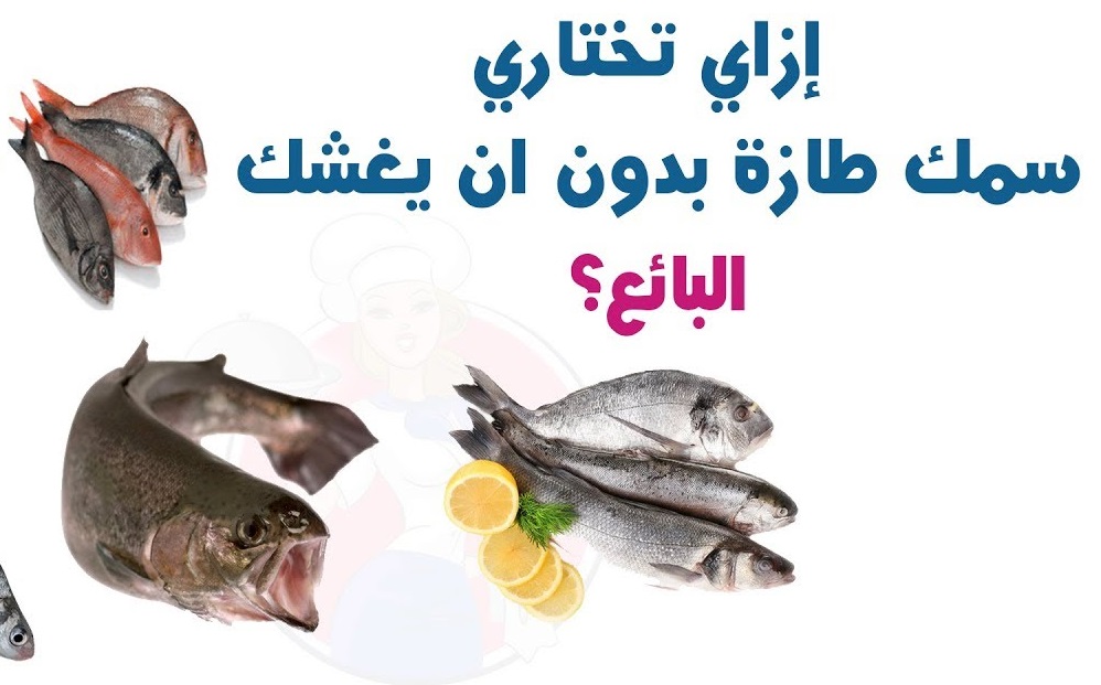 علامات السمك الطازج