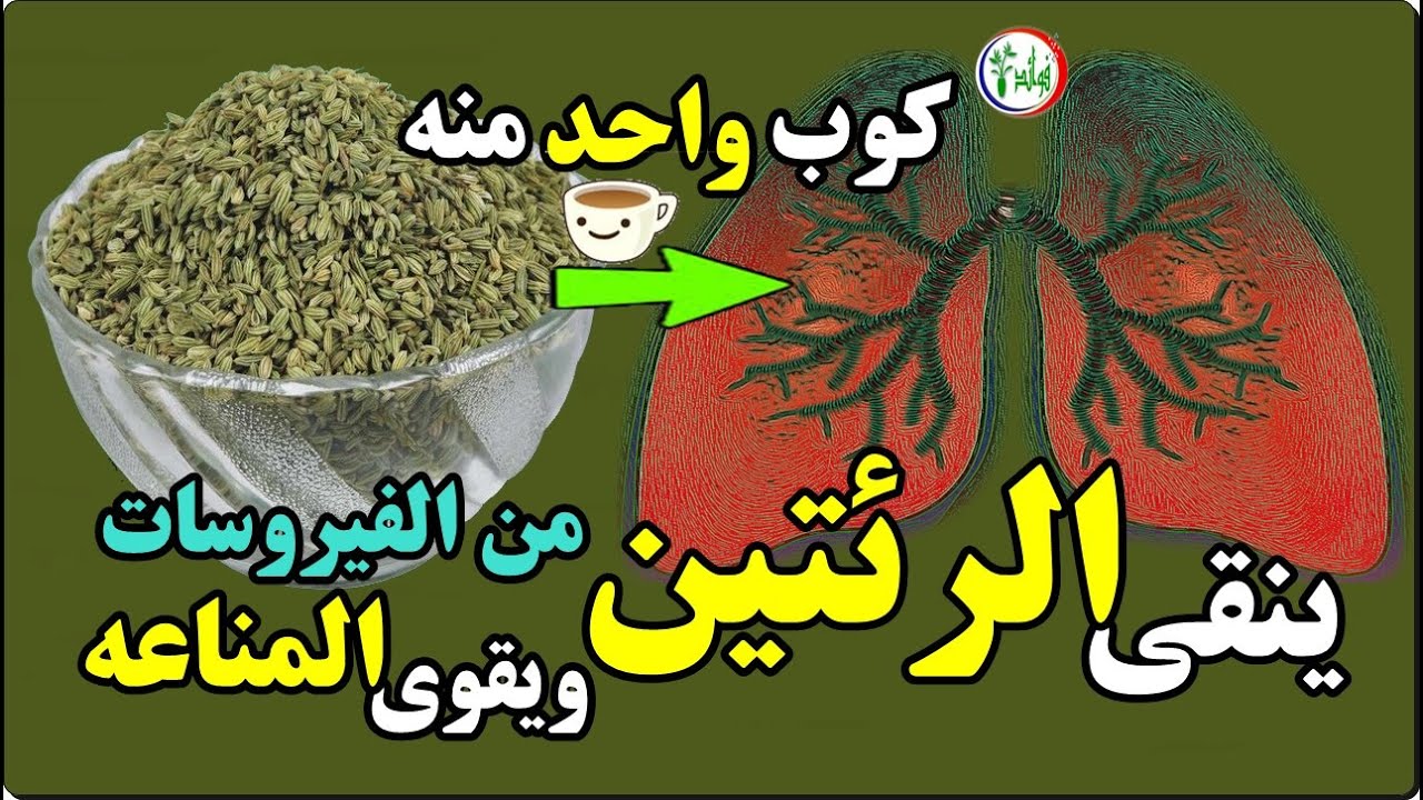 فوائد حبة البركة