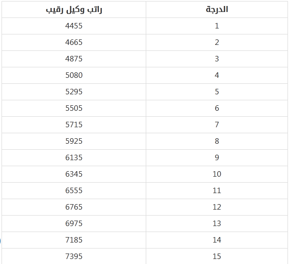 تعديل السنوي وكيل رقيب