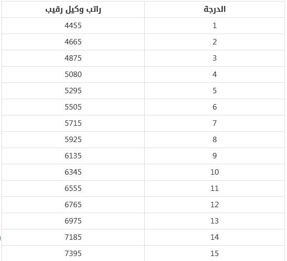 راتب وكيل رقيب مع البدلات