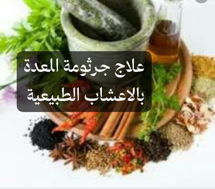علاج جرثومة المعدة بالأعشاب من خلال مجموعة من الوصفات الطبيعية