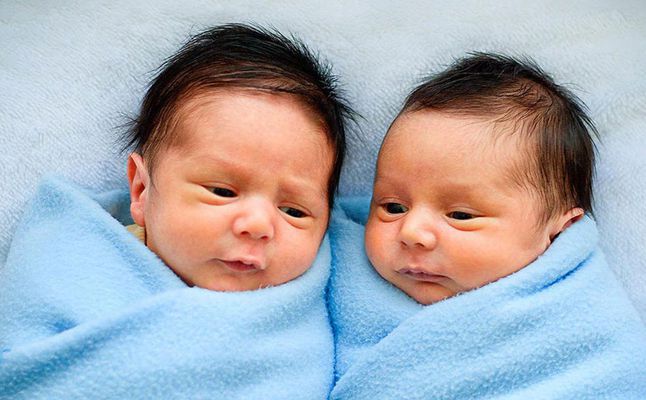 طريقة الحمل بتوأم ذكور