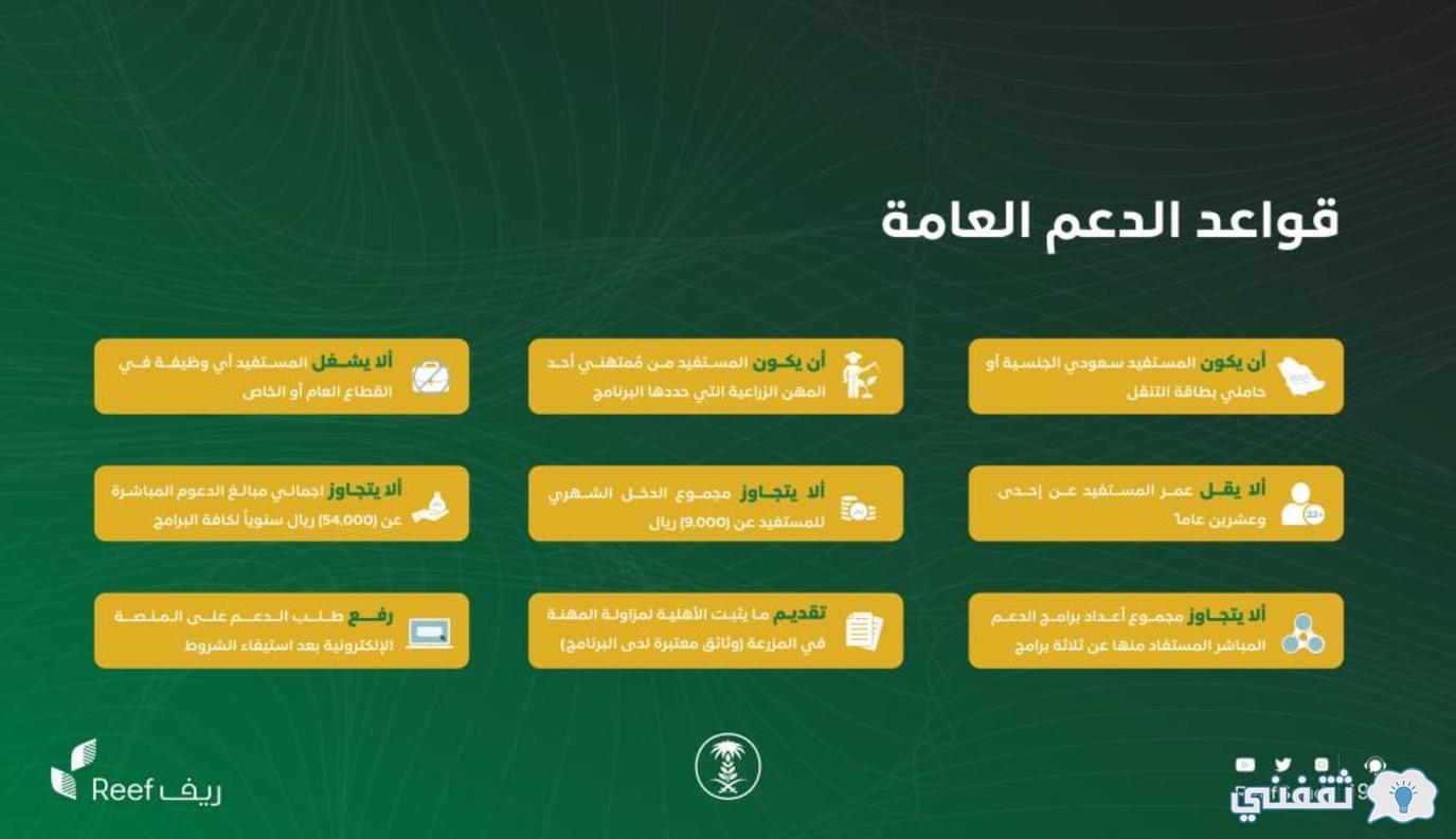 ريف الدخول بوابة تسجيل طريقة التسجيل