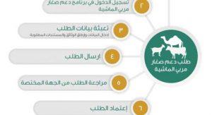 طريقة الاستعلام عن أهلية دعم المواشي برقم الهوية 1443 وشروط الحصول على الدعم