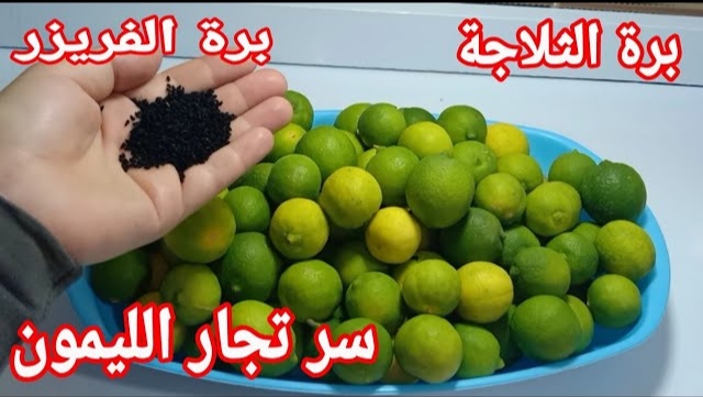 خليكي ناصحة.. طريقة تخزين وحفظ الليمون من السنة للسنة بدون تغيير في اللون أو الطعم بأسرار التجار