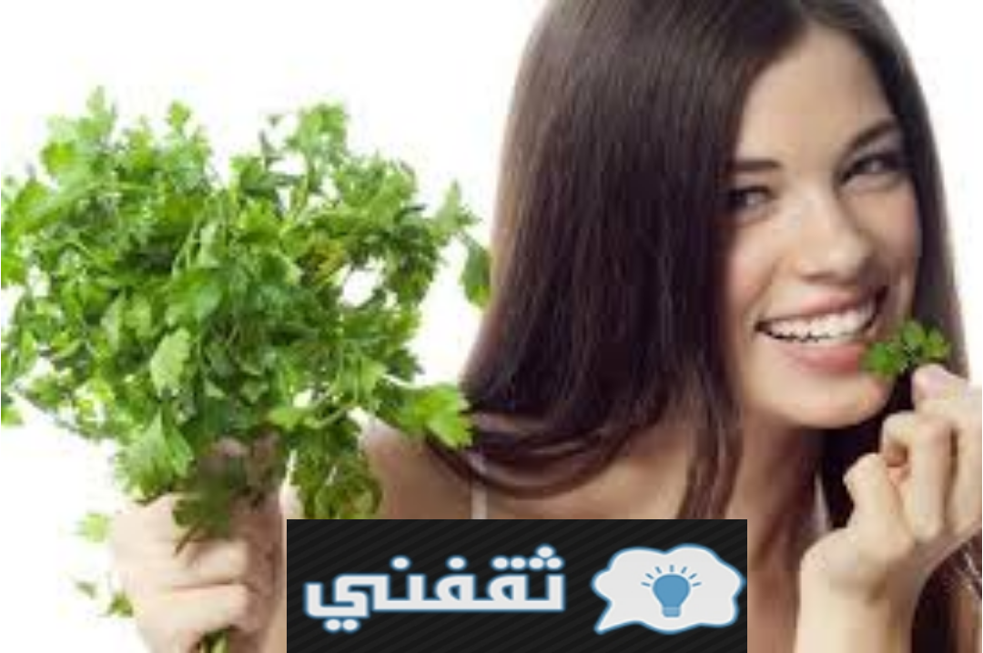 النشا والبقدونس كنز عظيم