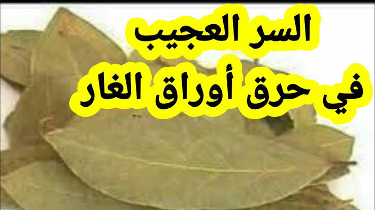 فوائد حرق ورق الغار