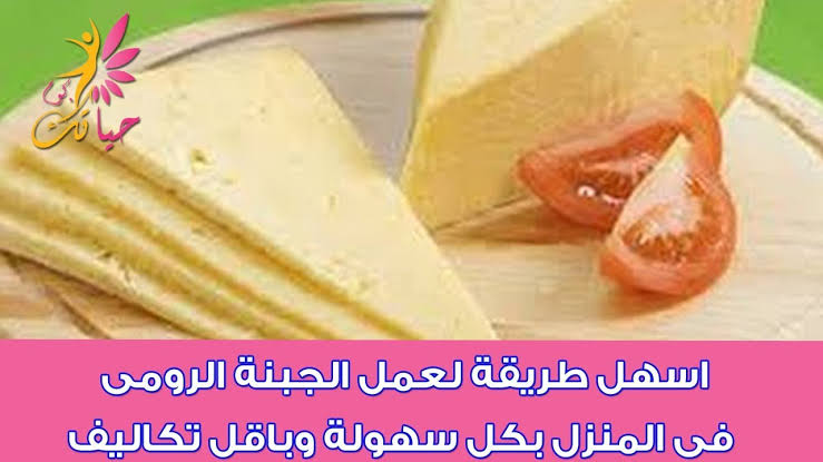 طريقة عمل الجبنة الرومى