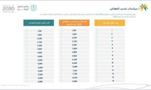 الضمان الاجتماعي متى ينزل