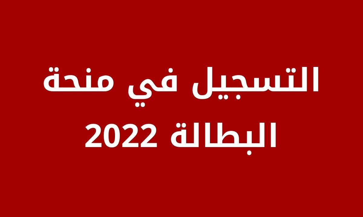 التسجيل في منحة البطالة 2022 minha anem dz الوكالة الوطنية للتشغيل في الجزائر