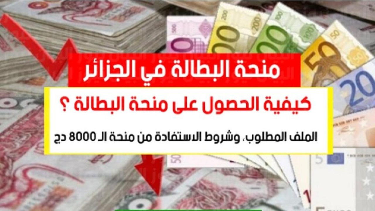 موقع التسجيل في منحة البطالة في الجزائر 2022 إلكترونيًا بالخطوات