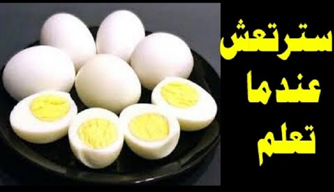 فوائد تناول البيض المسلوق يومياً
