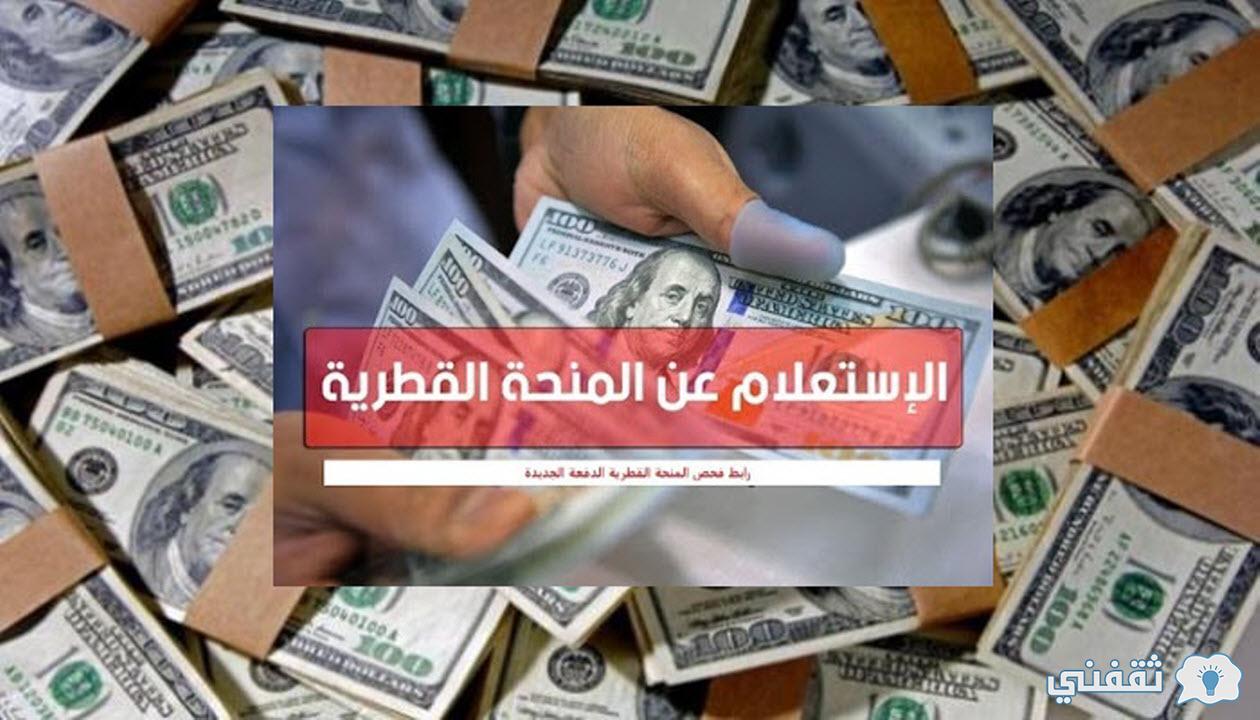 رابط فحص المنحة القطرية