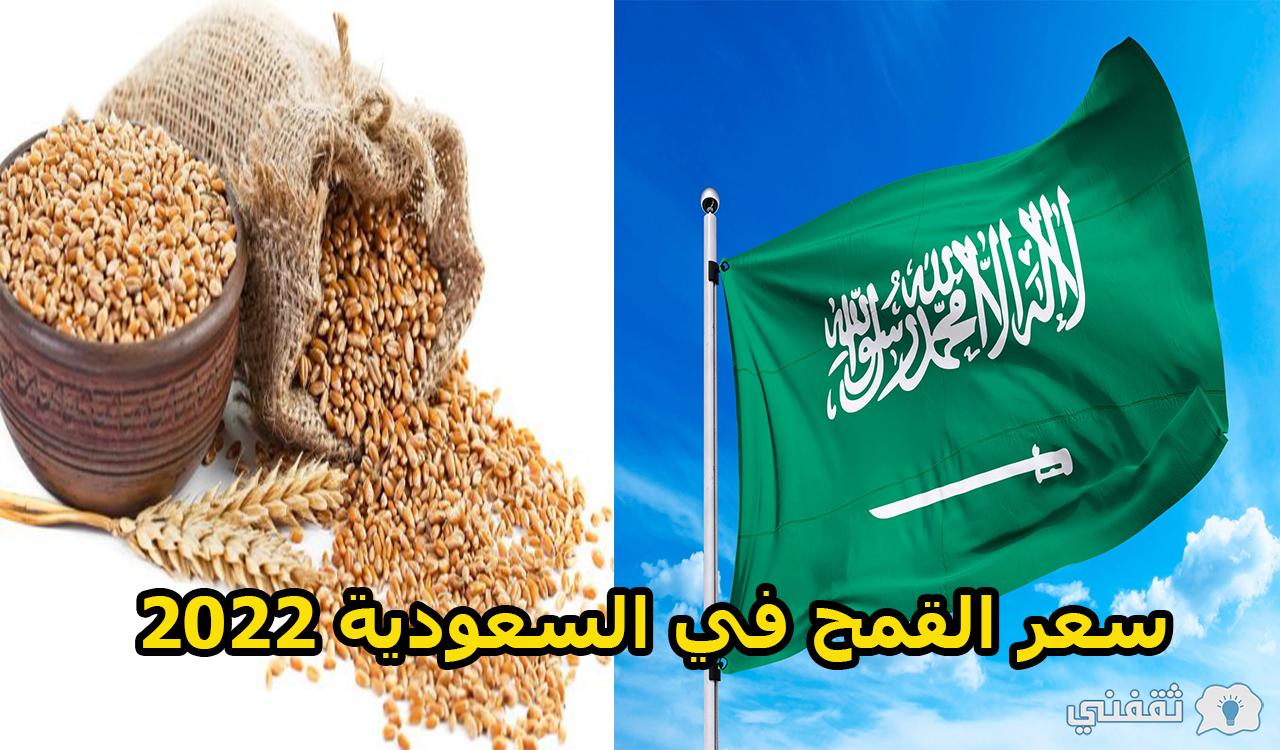 سعر القمح في السعودية 2022 وسبب ارتفاع الأسعار