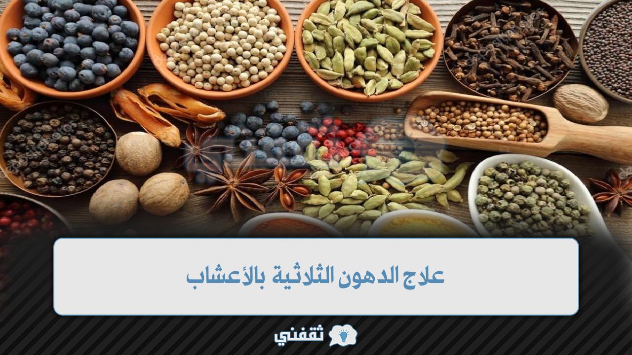 علاج الدهون الثلاثية بالأعشاب