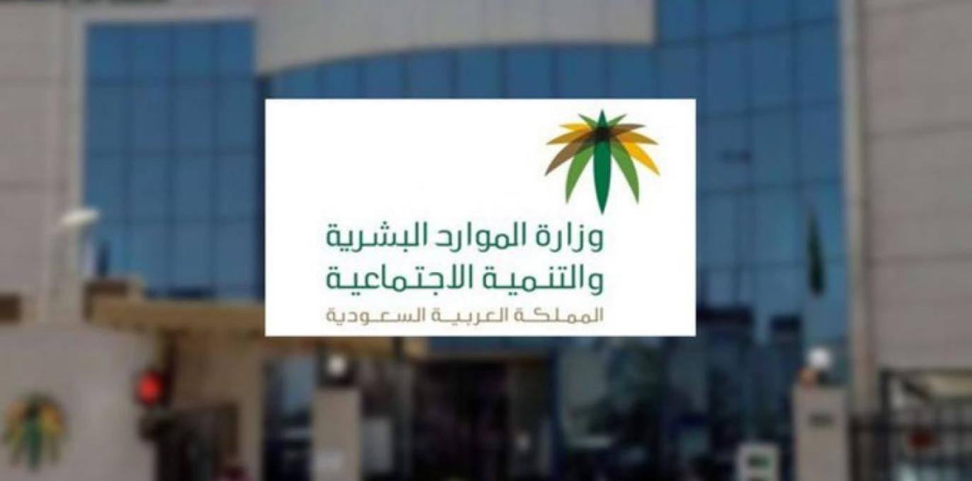 فرض مقابل مالي على العمالة المنزلية