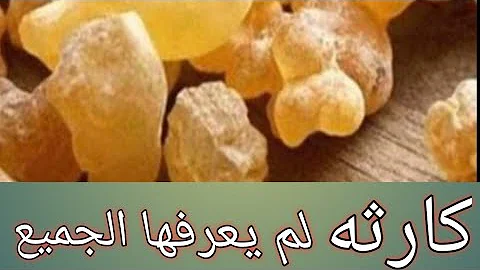 كوارث صحية من لبان الذكر