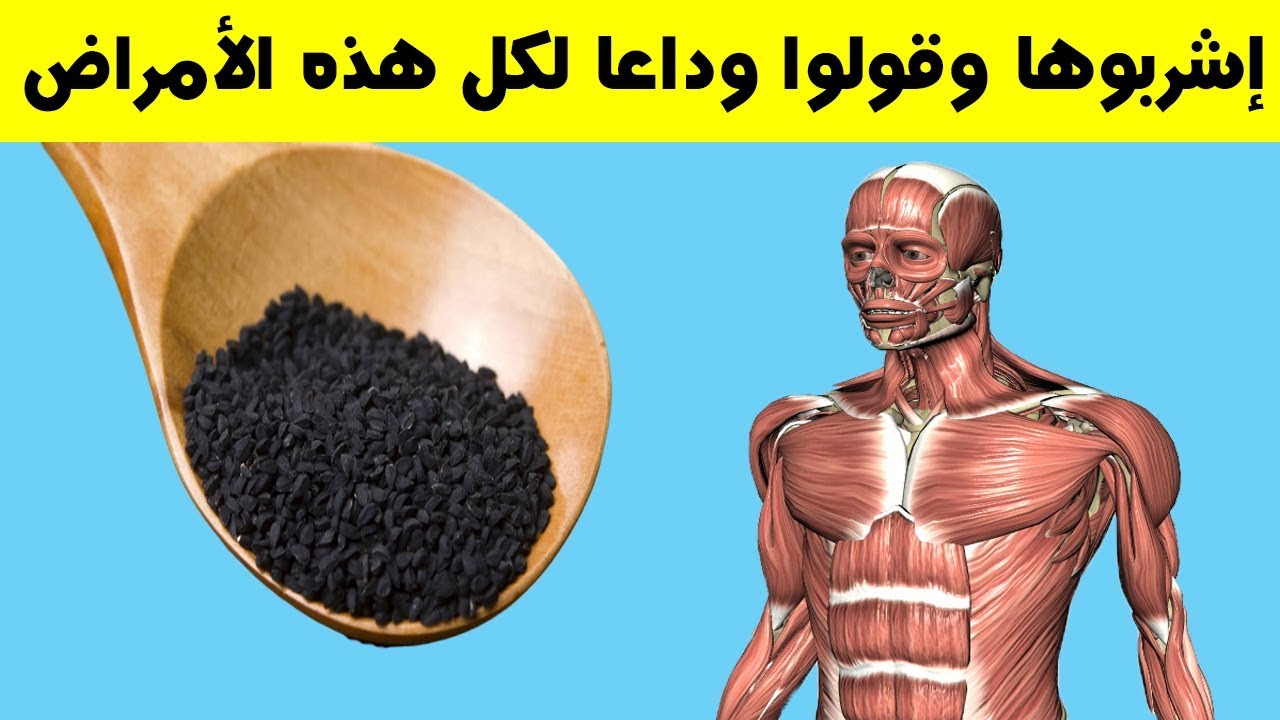 الحبة السوداء ... فوائد كثيرة فى تناول الحبة السوداء أو حبة البركة لن تتخيل الأمراض التي تعالجها كنز لايعلمة الكثير