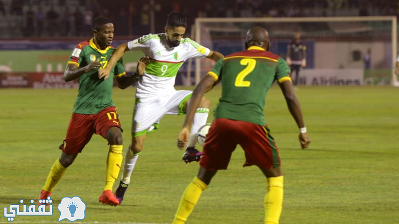 مباراة الكاميرون والجزائر