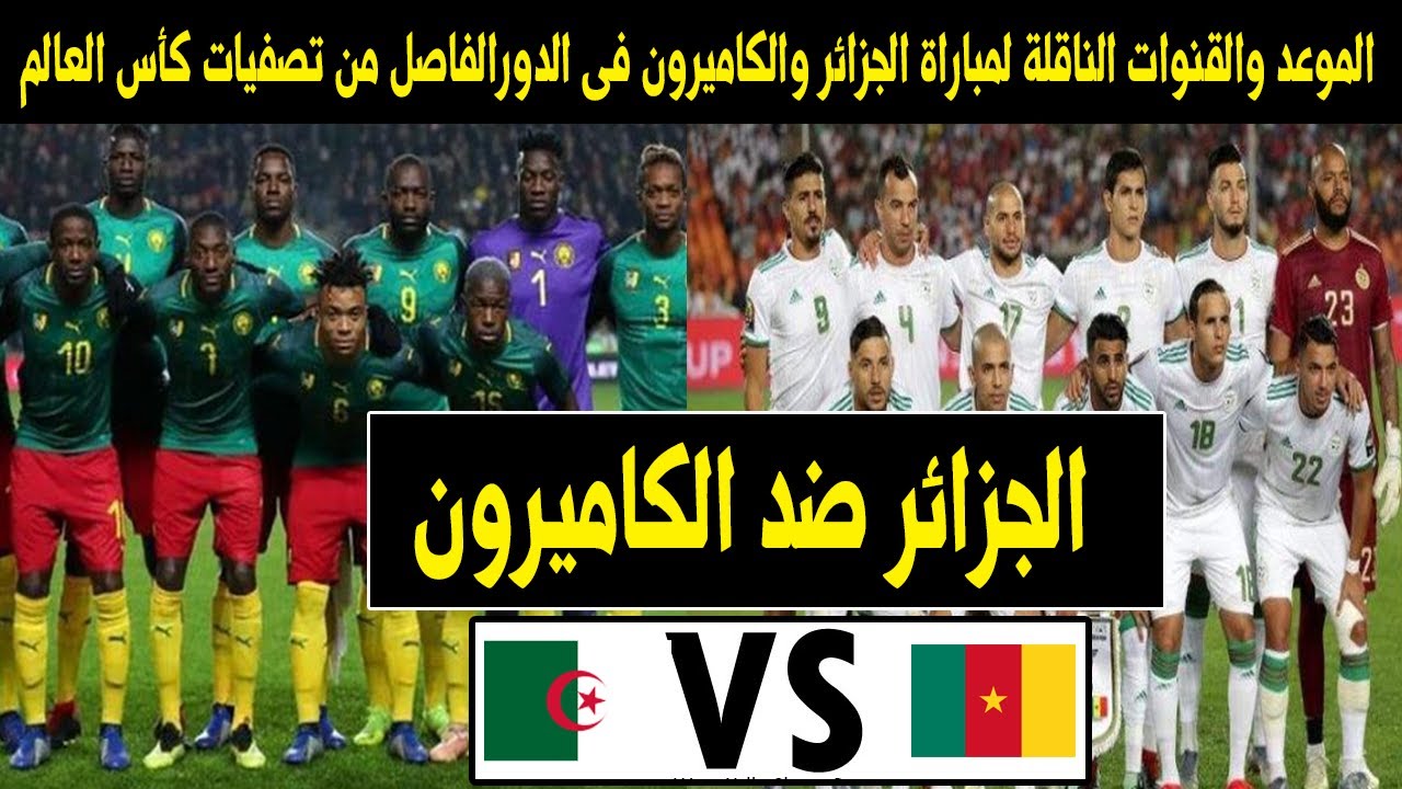 موعد مباراة الكاميرون والجزائر