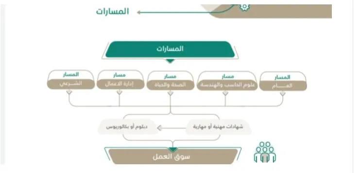 نظام المسارات في الثانوي