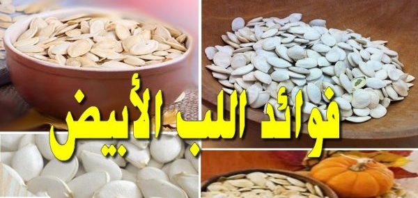 هل تعلم ما هي فوائد اللب الأبيض وماذا يحدث عند تناوله لجسم الإنسان فوائده عظيمة