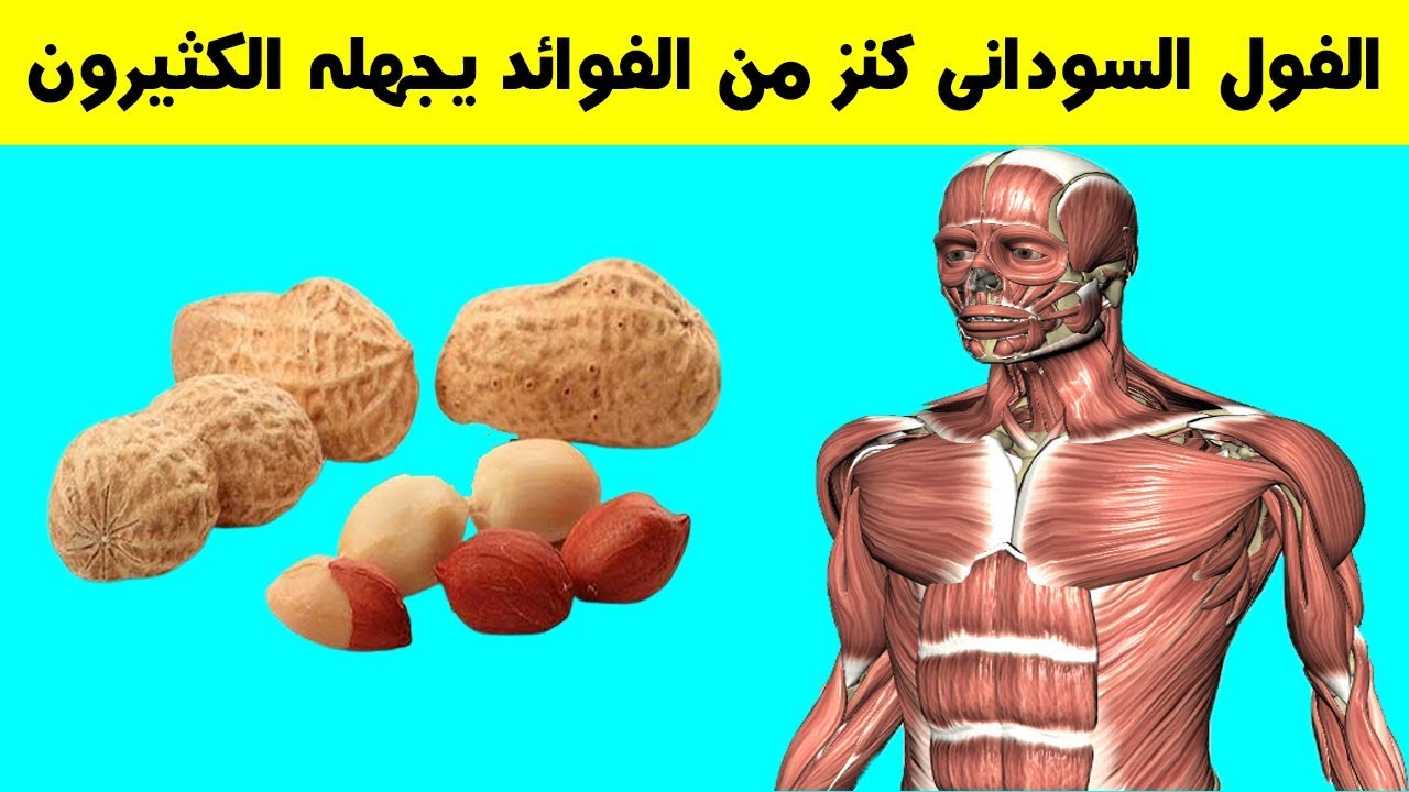 فوائد تناول الفول السوداني