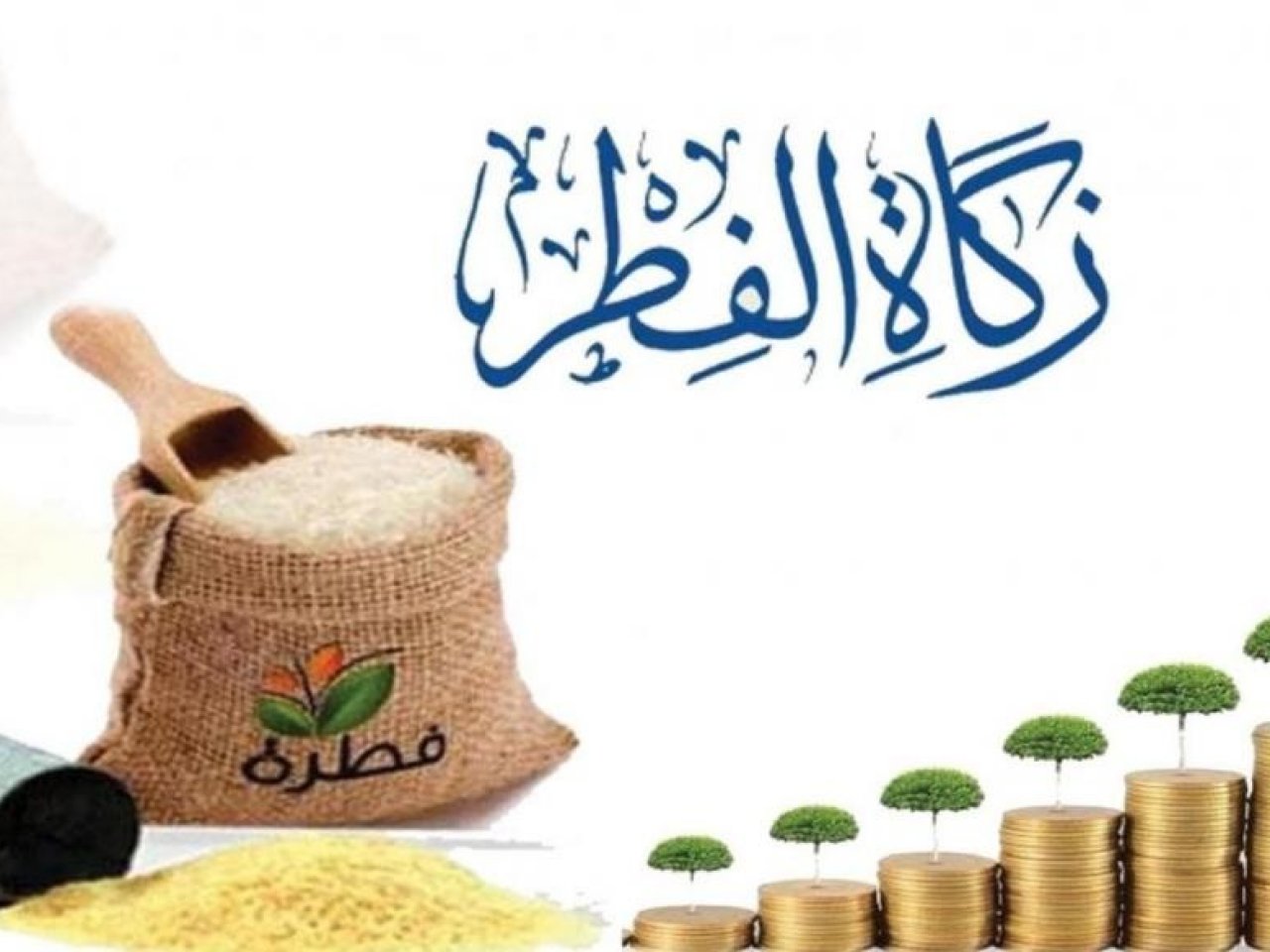 كم ريال زكاة الفطر في السعودية 2022