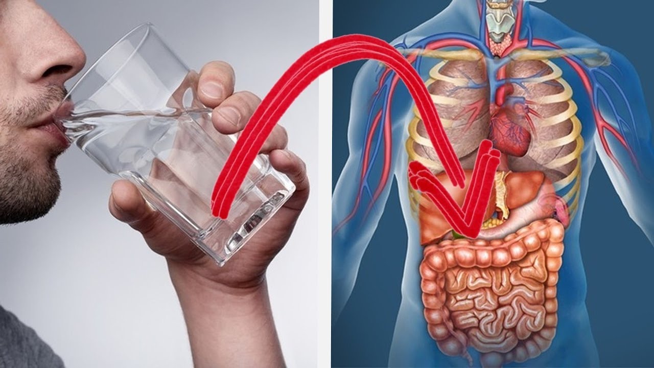 ماذا يحدث لو شربت الماء فقط