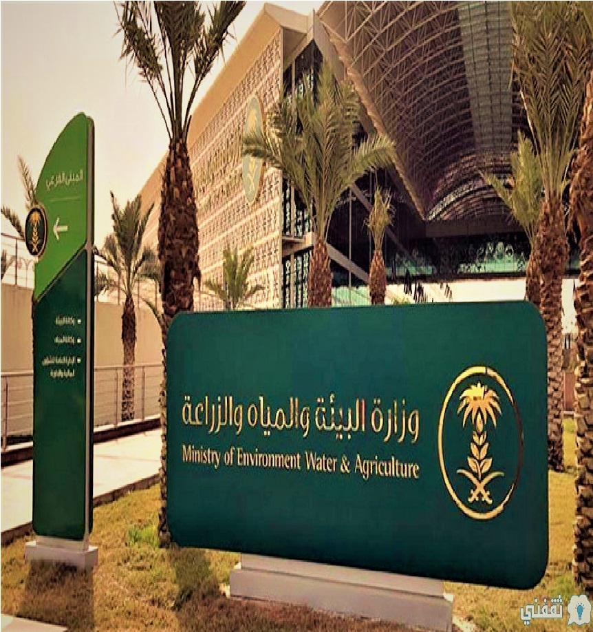 موعد صرف دعم ريف شهر رمضان 1443 Reef بالسعودية