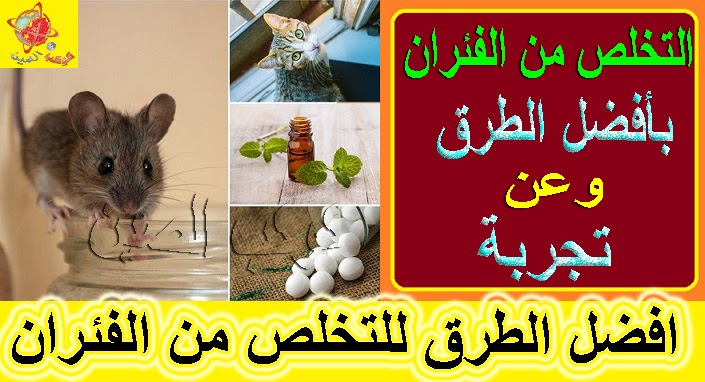 التخلص من الفئران بأفضل الطرق