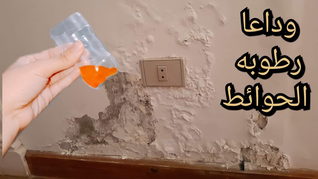 الحل النهائي للتخلص على رطوبة وعفن الحوائط